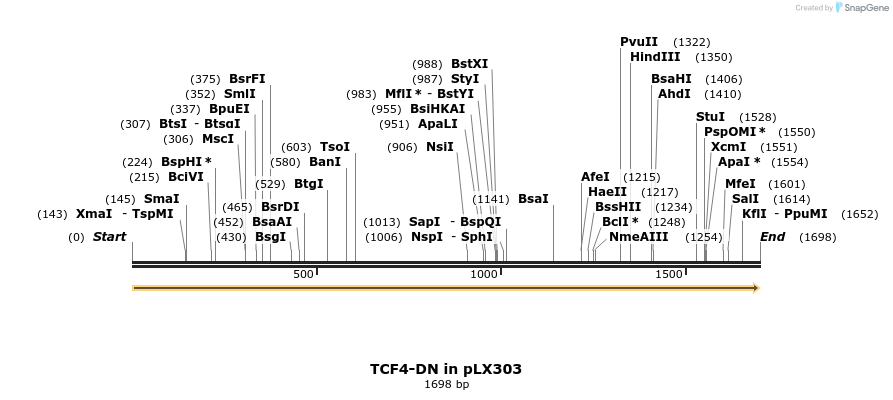 57551_map