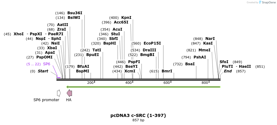 57554_map