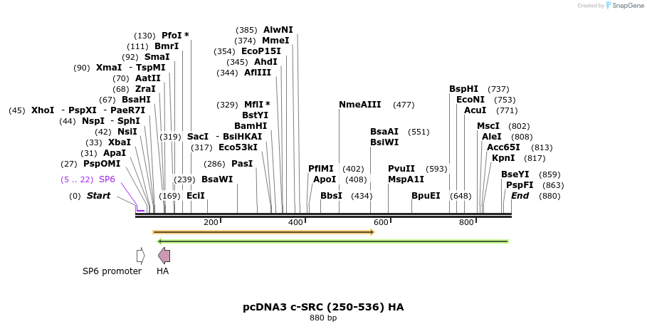 57560_map