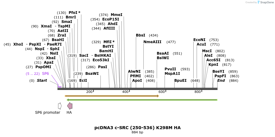 57563_map