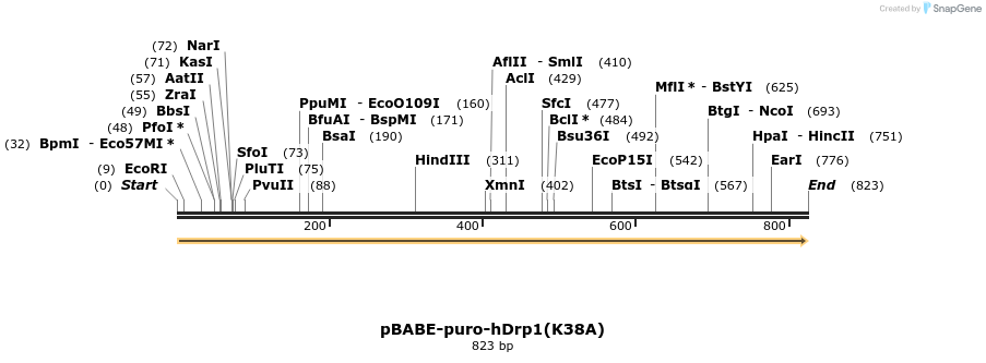 57572_map