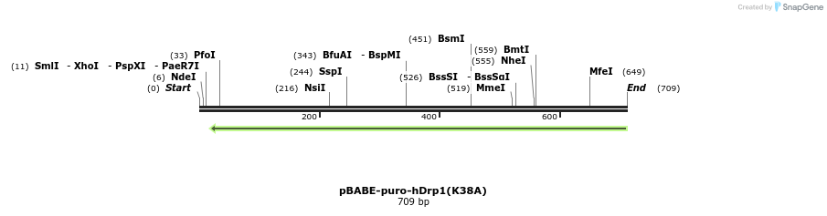 57575_map