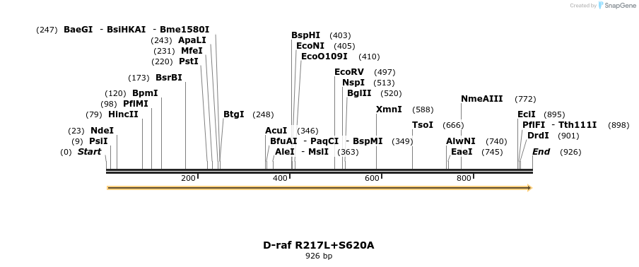 57599_map