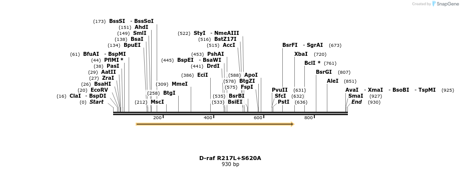 57600_map