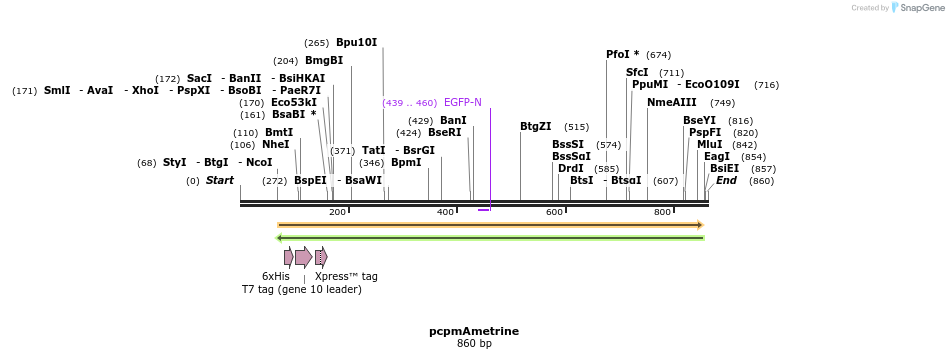 57601_map