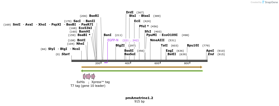 57602_map