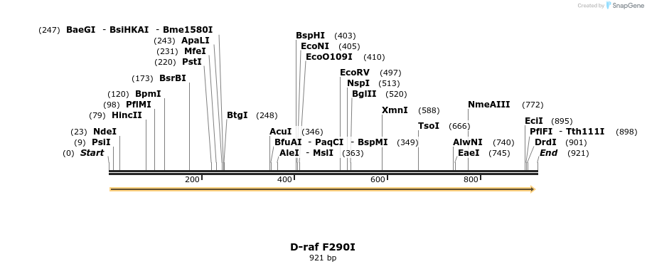 57603_map