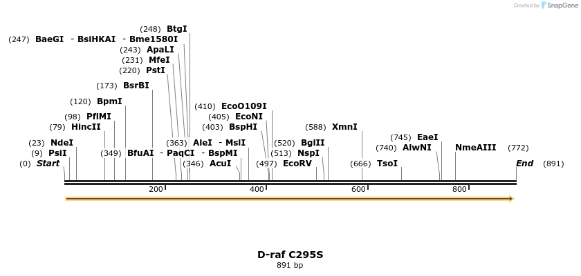 57604_map