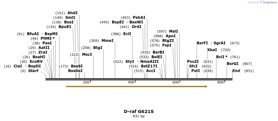 57605_map