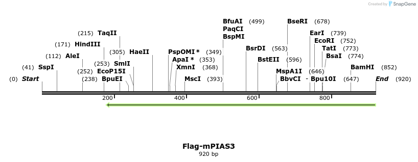 57606_map