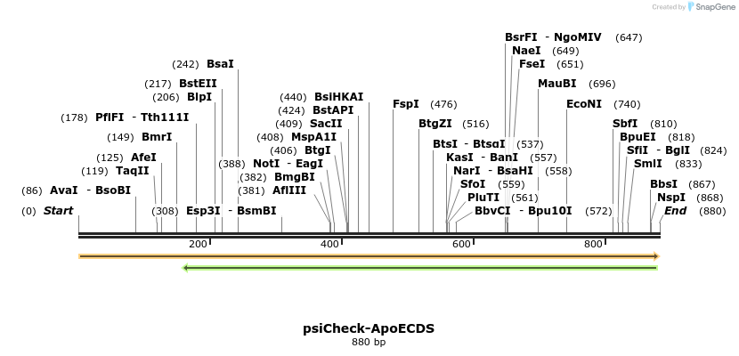 57610_map