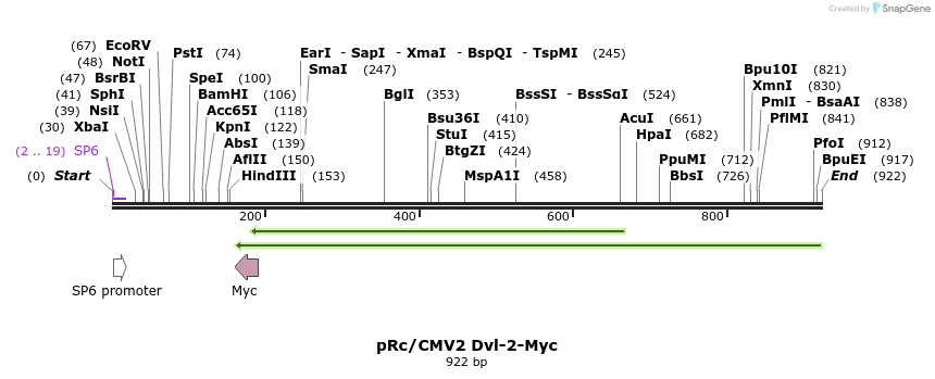 57612_map