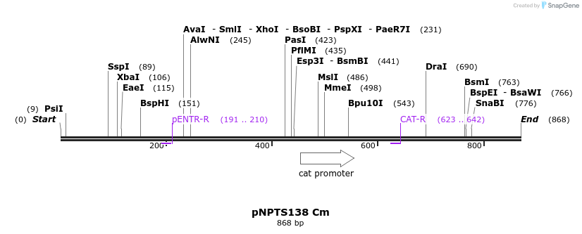 57613_map