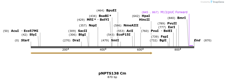 57614_map