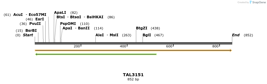 57618_map