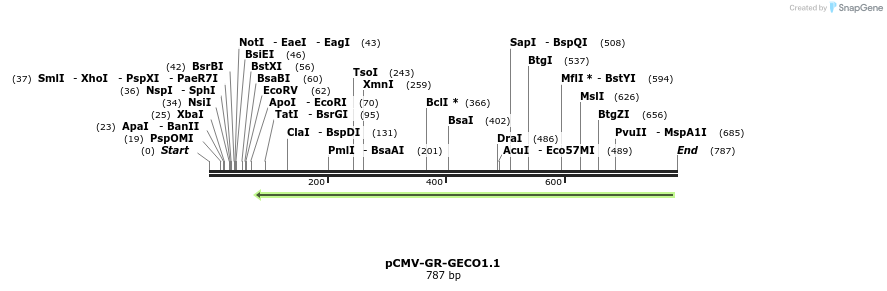 57619_map