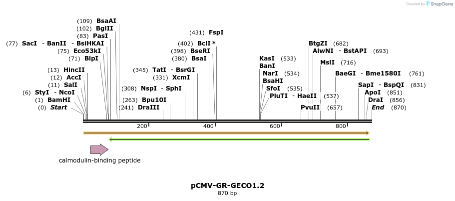 57620_map