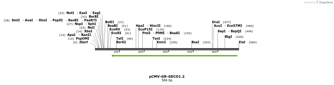 57622_map