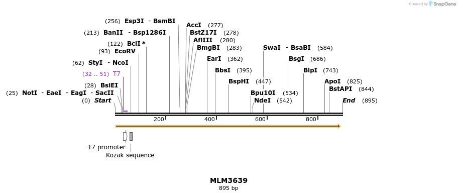 57623_map