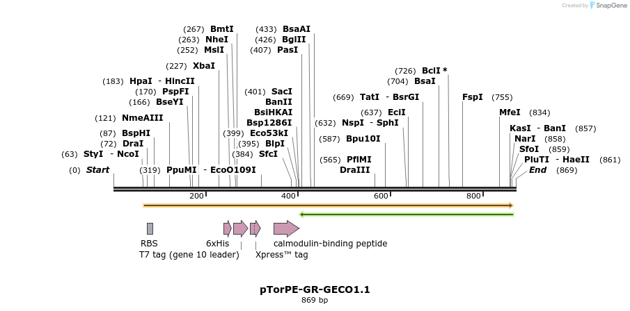 57624_map