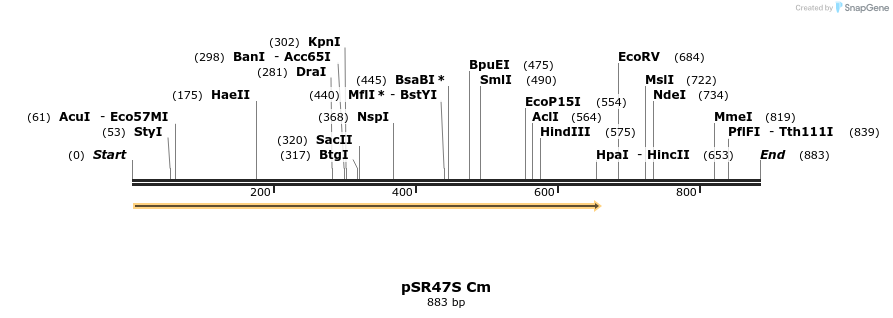 57625_map