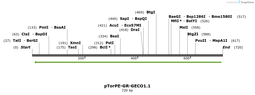 57626_map