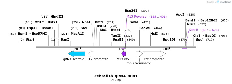 57628_map