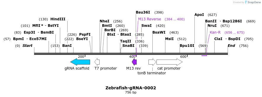 57629_map