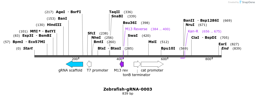 57630_map