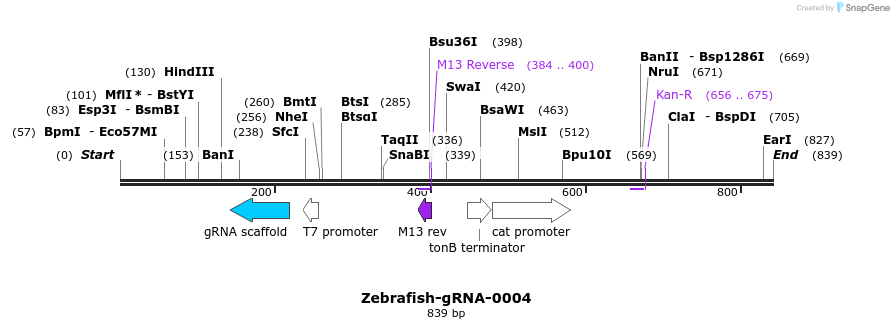 57631_map