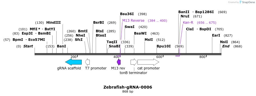 57633_map
