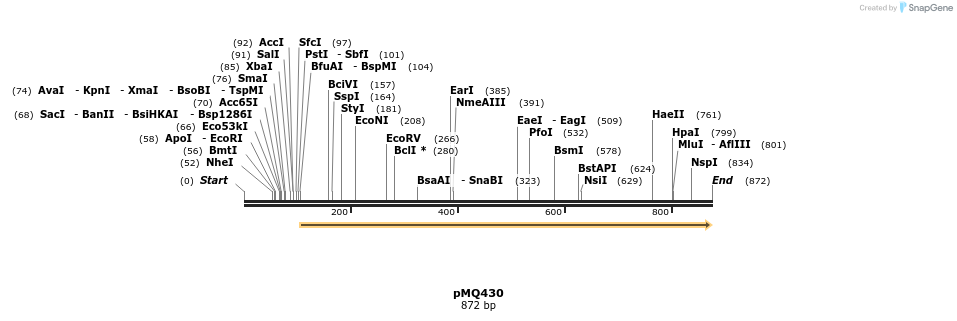 57636_map