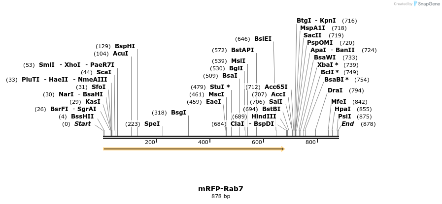 57641_map