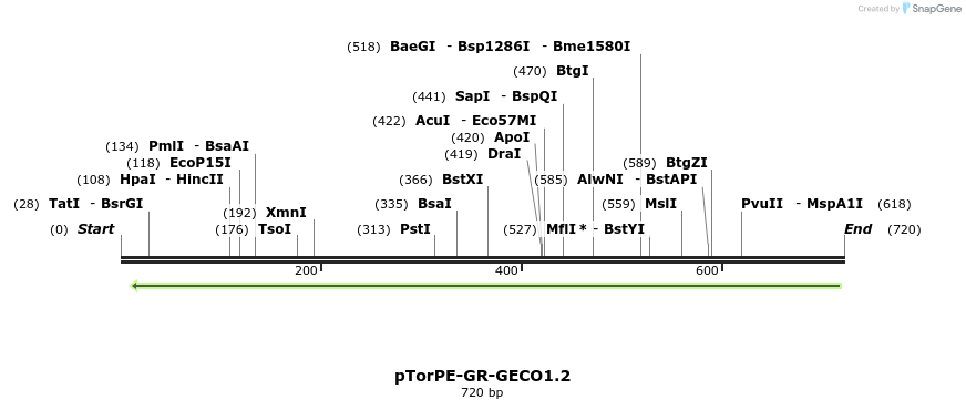 57642_map