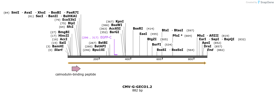 57645_map