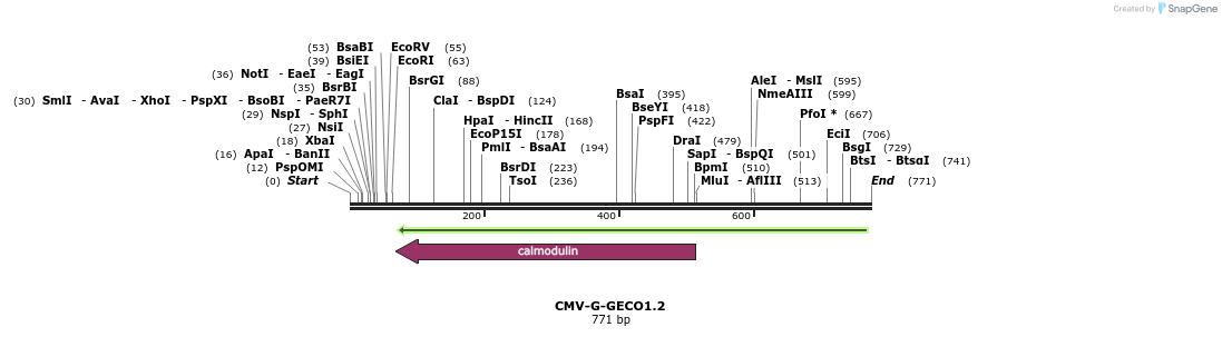 57646_map
