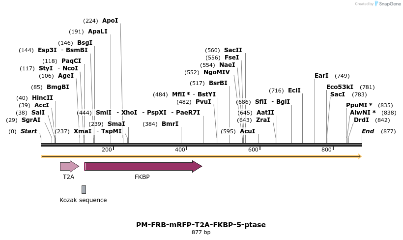 57659_map