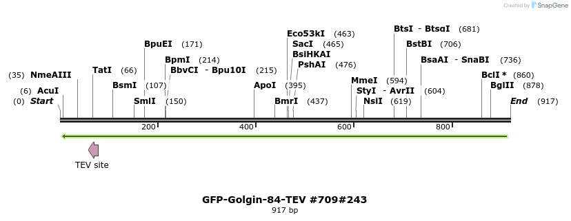 57676_map