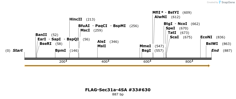 57677_map