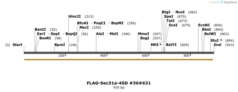 57678_map