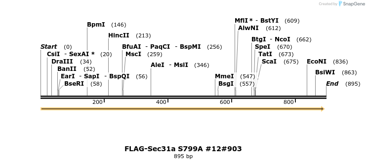 57681_map