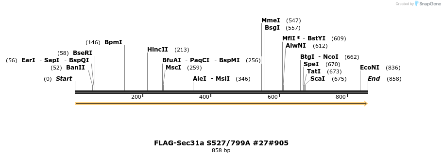 57682_map