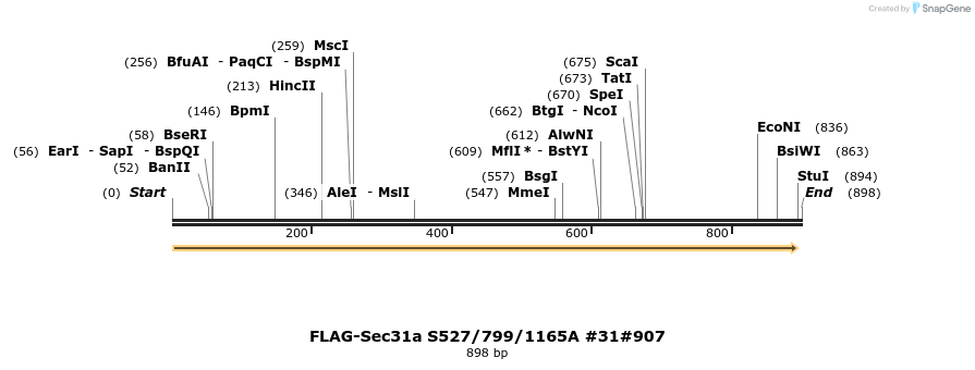 57686_map