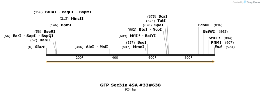 57691_map