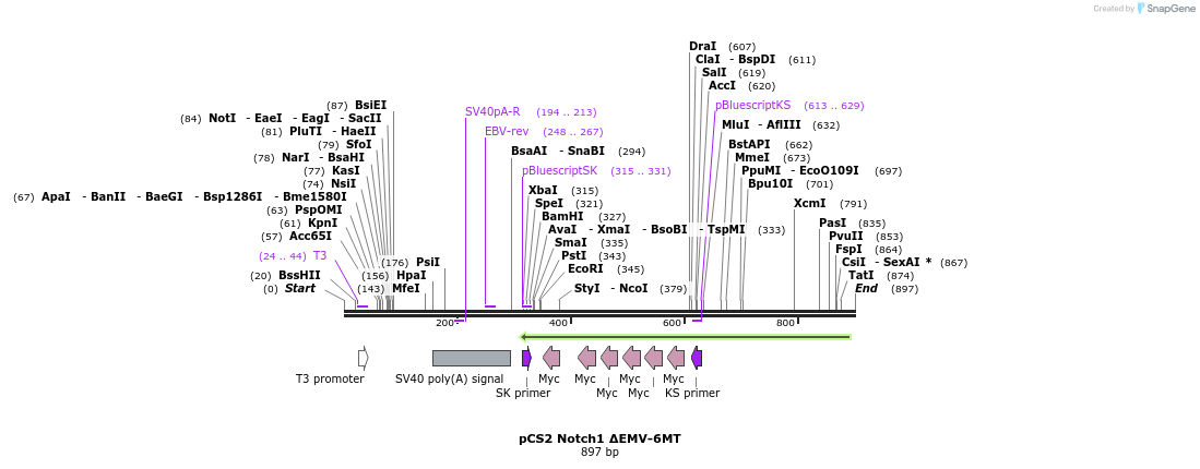 57695_map