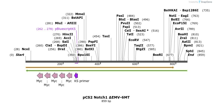 57700_map