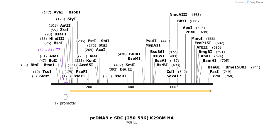 57704_map
