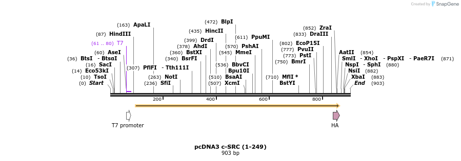 57717_map