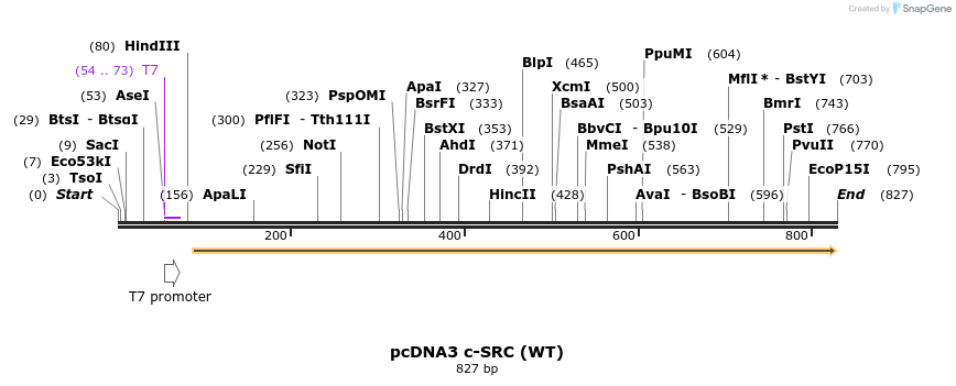 57718_map