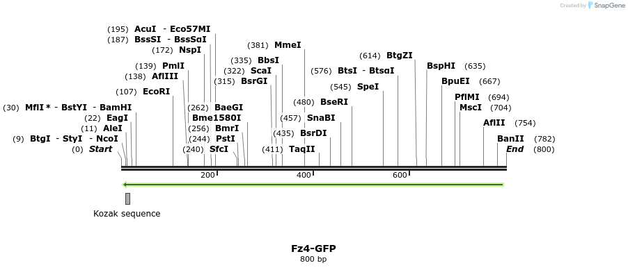57728_map